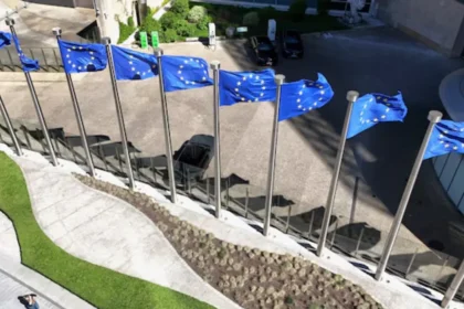 Why EU Harmonisation Needs More Flexibility