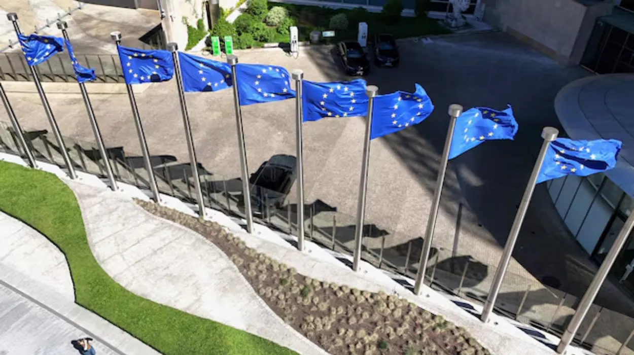 Why EU Harmonisation Needs More Flexibility